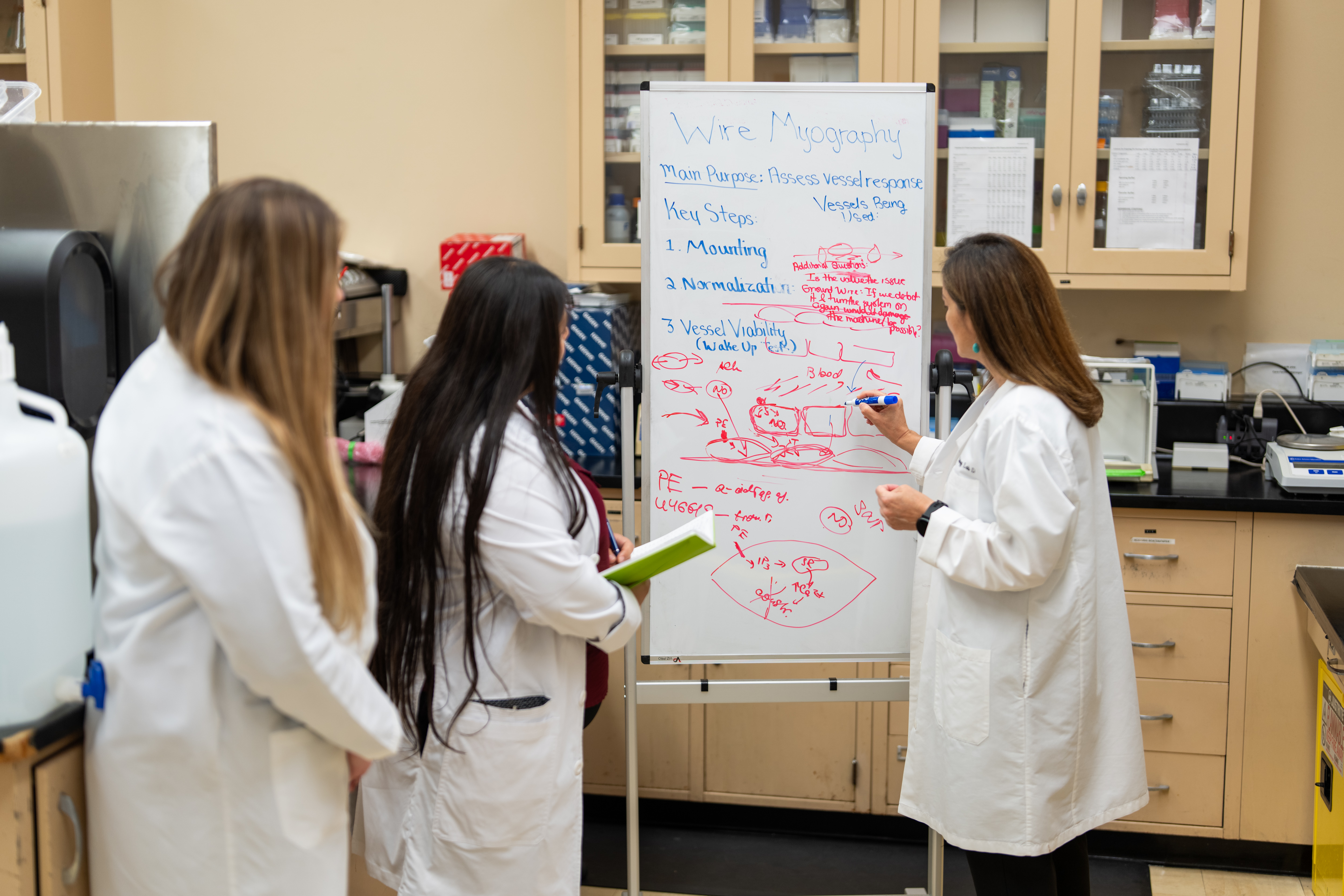 female researchers around dry erase board working on science models and formulas