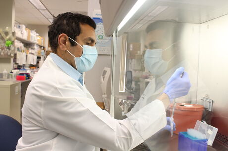 Loma Linda University Health awarded $8 million NIH grant to support cutting-edge cellular therapy lab construction