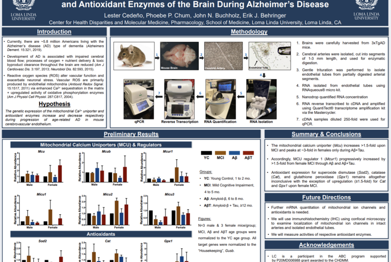 ABC 2019 POSTER