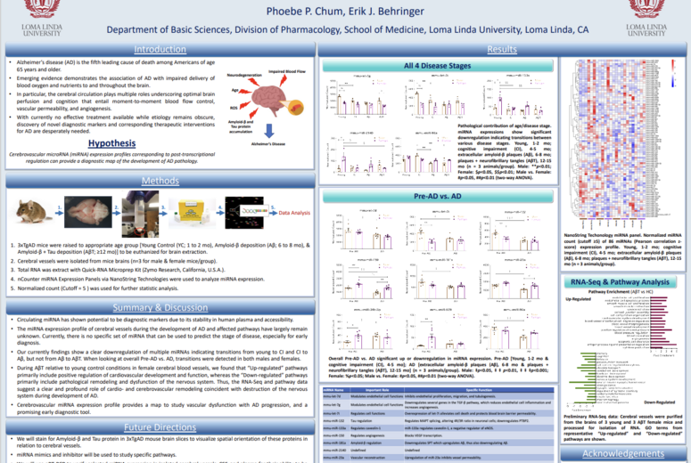  Basic Sciences Research Symposium 2023 Poster
