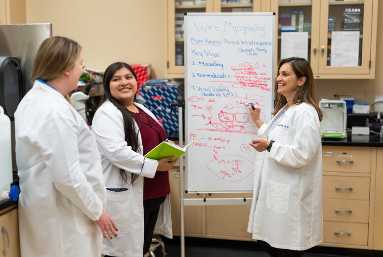 three women researchers 