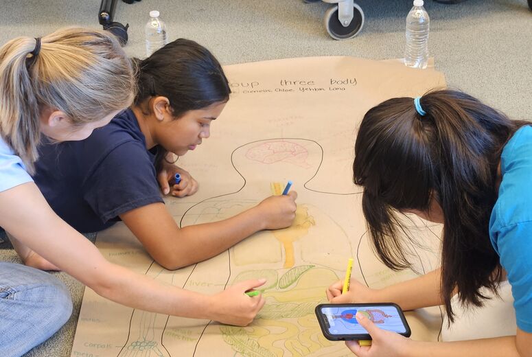 Students drawing a body image
