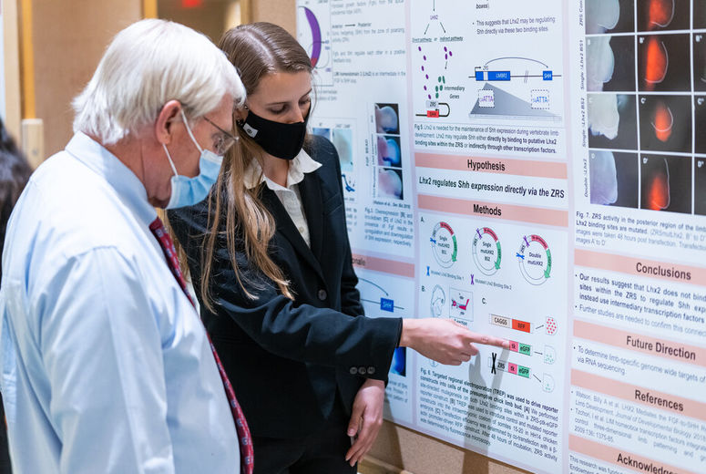 Research students present scientific poster presentations on their investigations