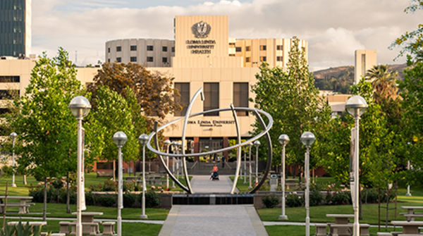 School of Medicine  Loma Linda University