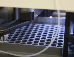 Center for Imaging Research