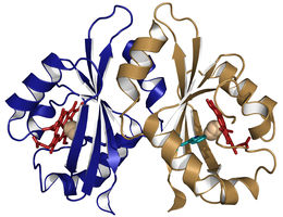 Bacterial chemosensing and signal transduction