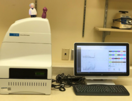 Cellular Biology