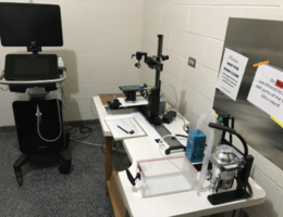  Fujifilm VisualSonics Vevo 3100 