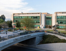 Application Timeline