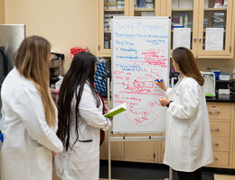 Join the Lab