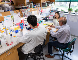 Graduate Student LLU-BBR-T32 Program