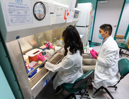 High School Students in Research Program